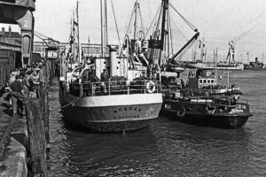 Sicher in Cuxhaven eingelaufen (v.l.): das Küstenmotorschiff „Nossan“, der Bergungsschlepper „Danzig“ und die „Langeoog“. Archivfoto: Die Seenotretter – DGzRS